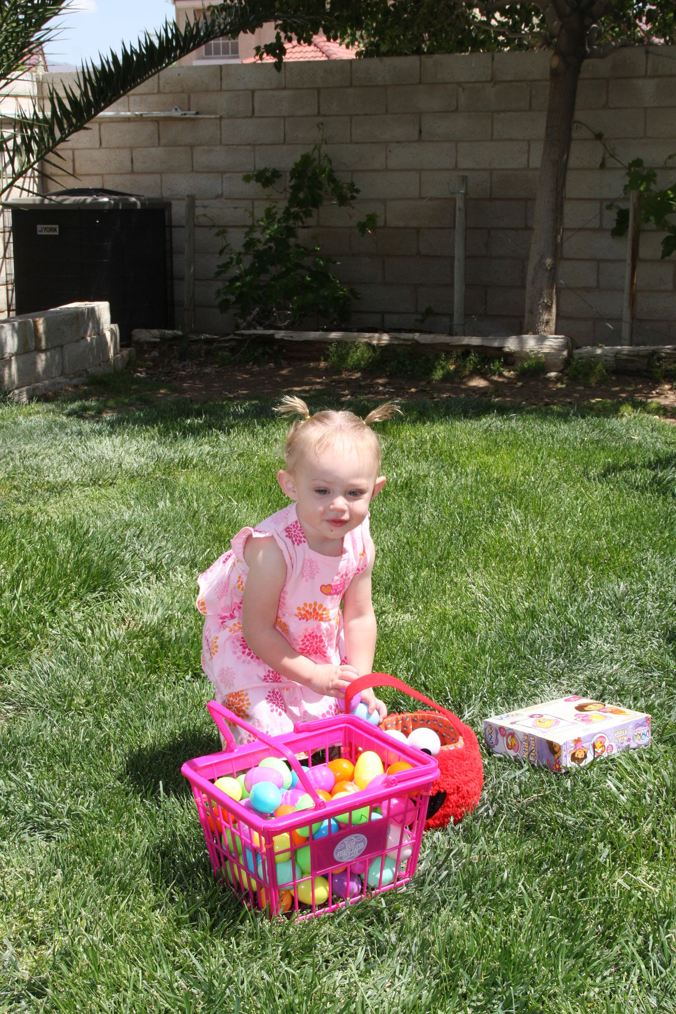 Easter_Egg_Hunt_2011_2810229.JPG