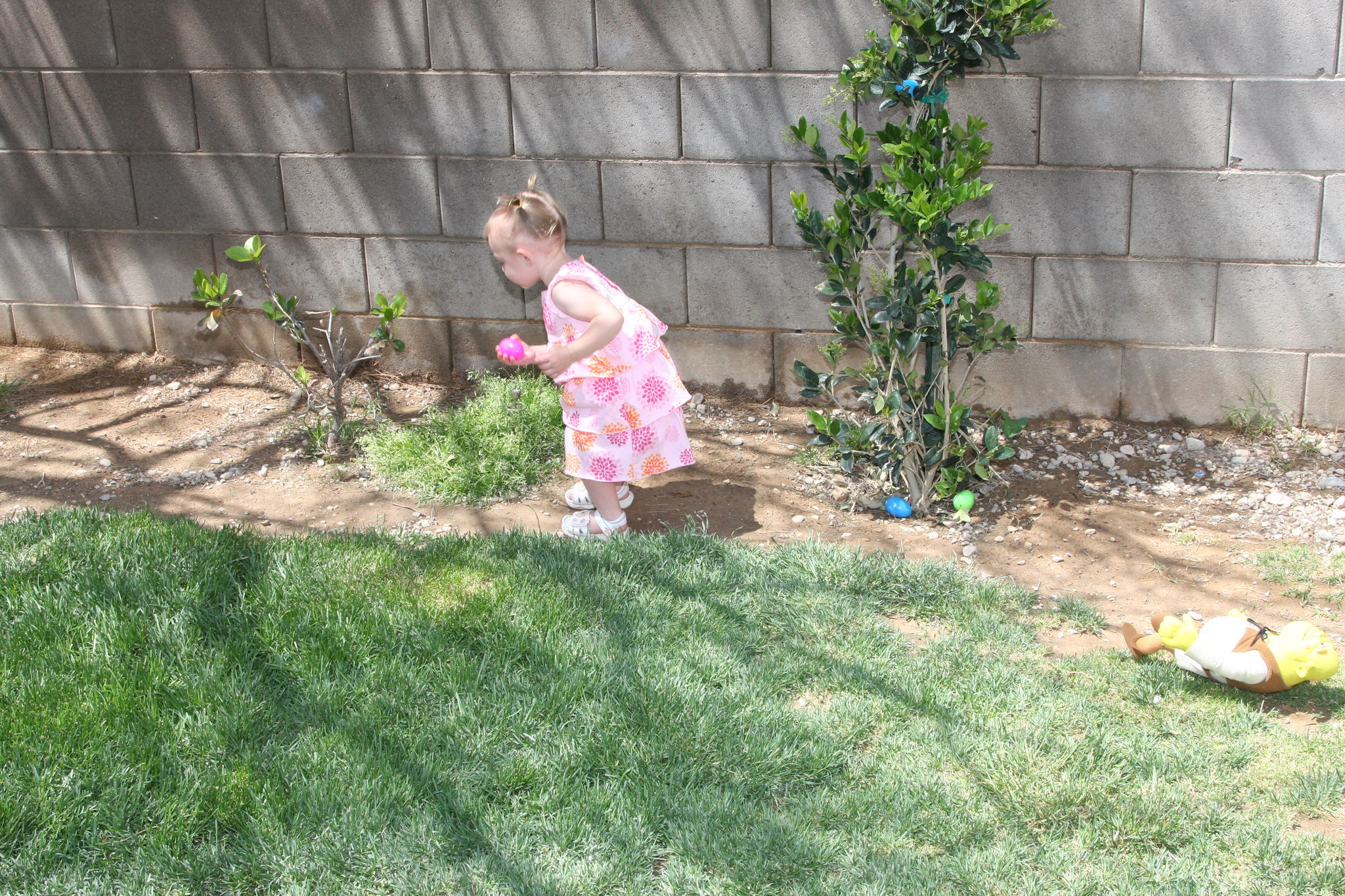 Easter_Egg_Hunt_2011_286429.JPG