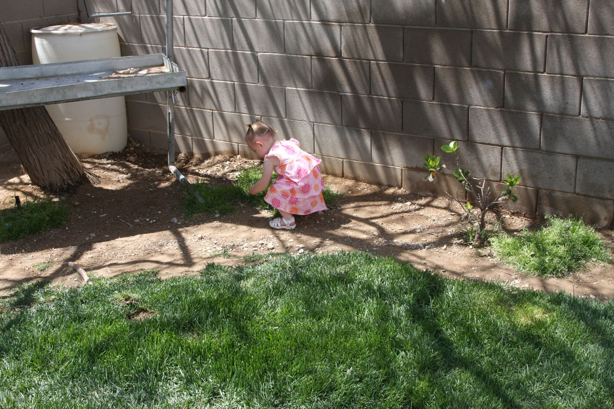 Easter_Egg_Hunt_2011_286529.JPG