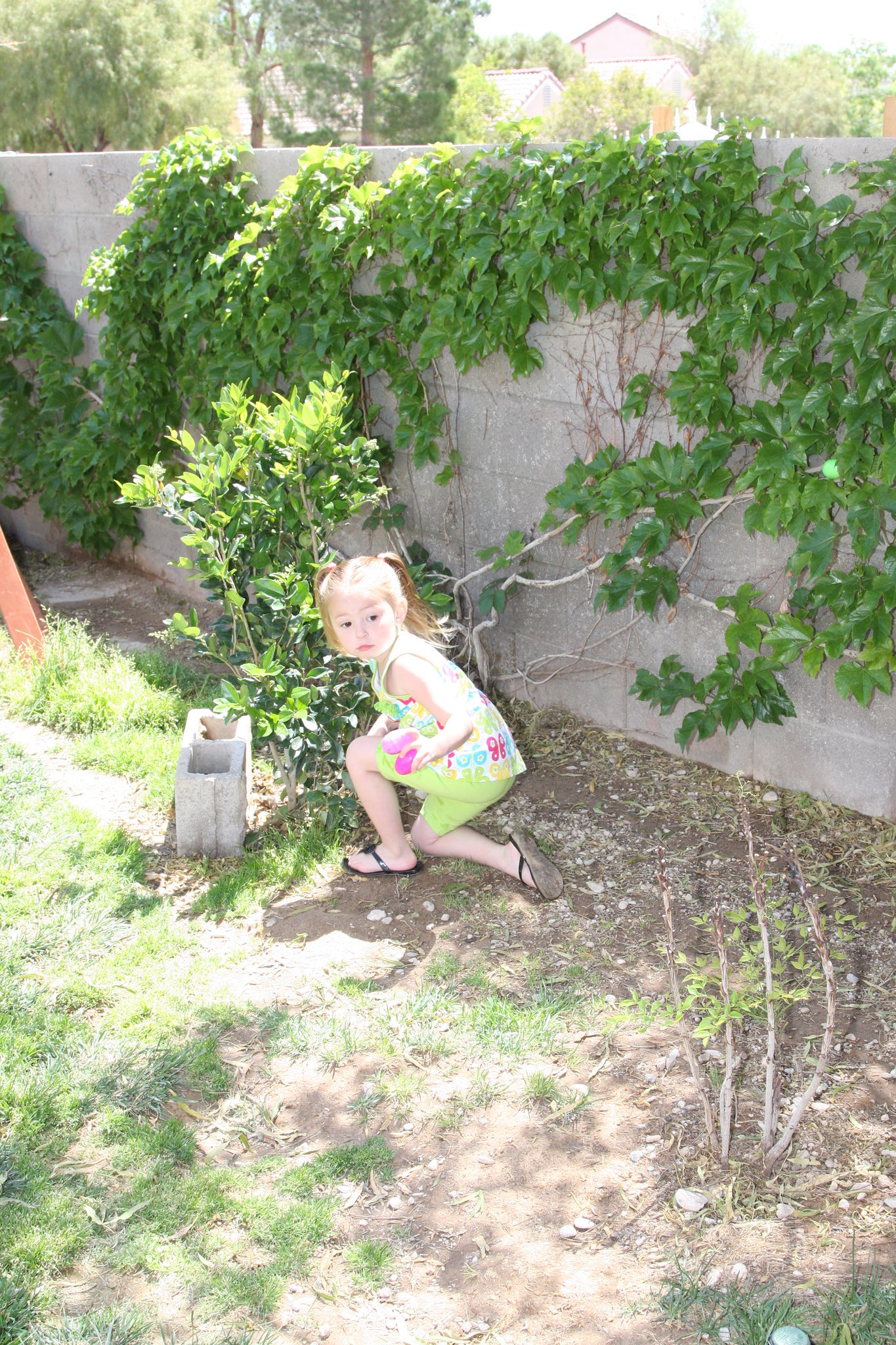 Easter_Egg_Hunt_2011_289329.JPG