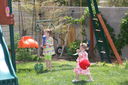 Easter_Egg_Hunt_2011_285429.JPG