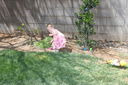 Easter_Egg_Hunt_2011_286329.JPG