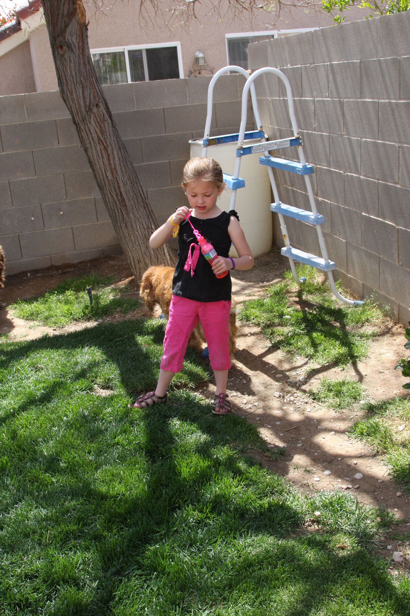 Easter_2012__2811329.JPG