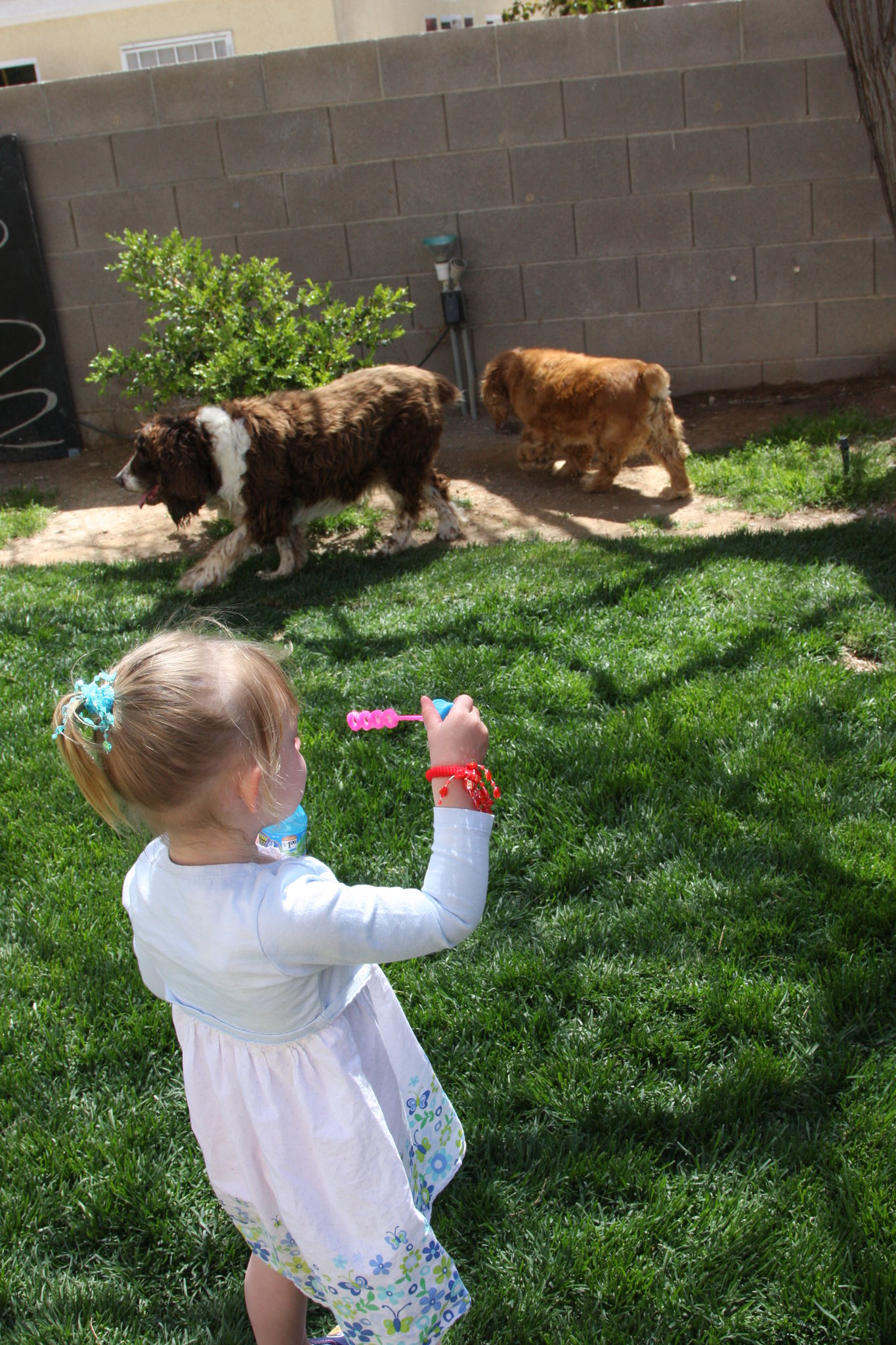 Easter_2012__2811429.JPG