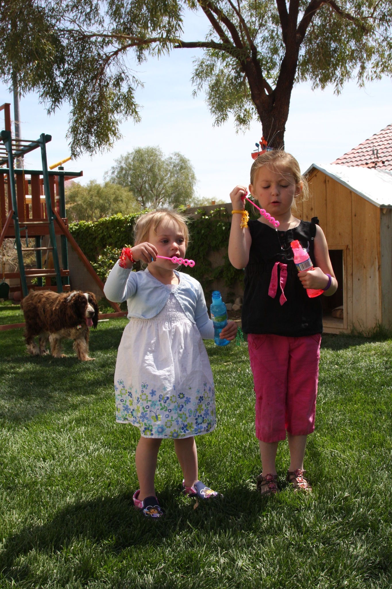 Easter_2012__288529.JPG