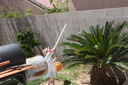 Easter_2012__285229.JPG