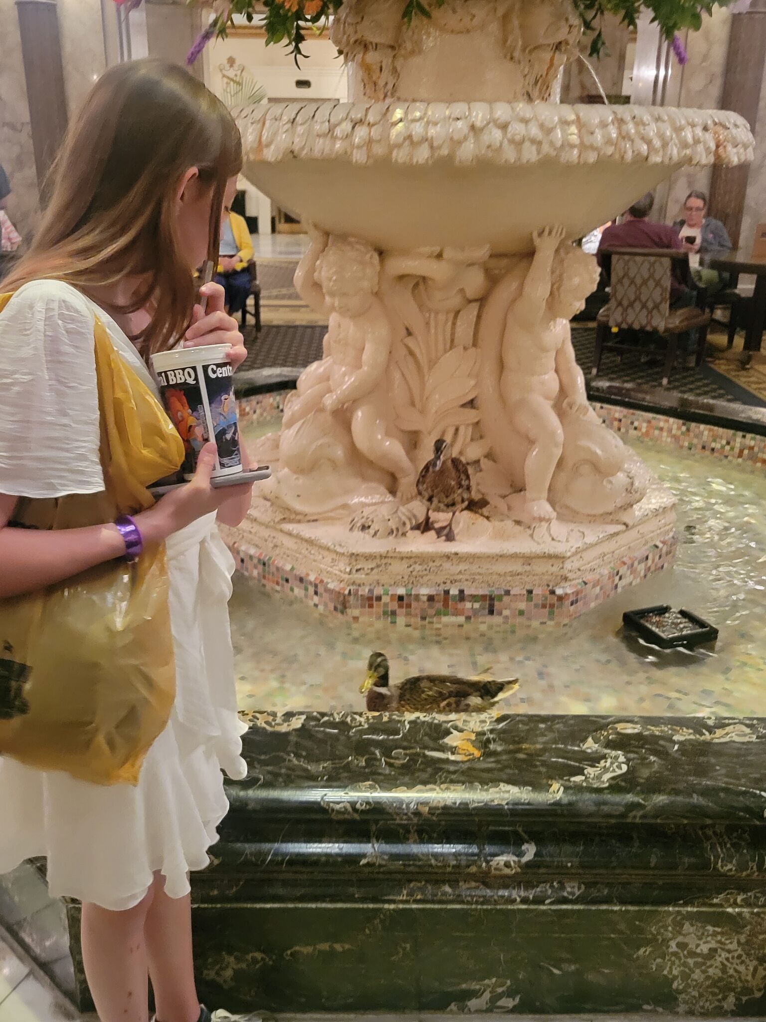 Peabody Ducks
